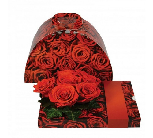 Коробка "Oasis Floxi" с выдвижным ящиком 24*19*Н20см(картон).